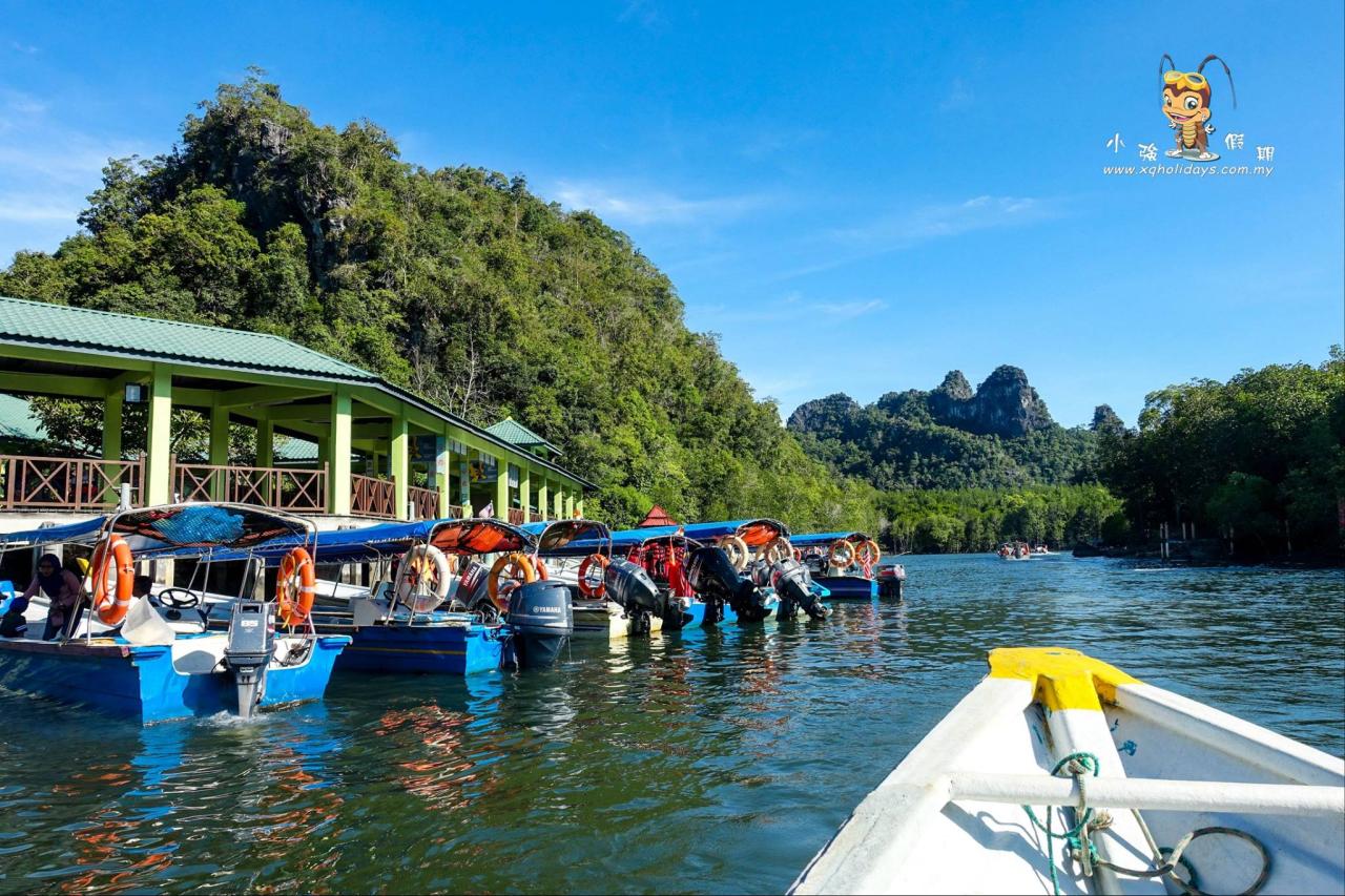 Jelajahi Keindahan Mangrove Langkawi dengan Tur Menawan